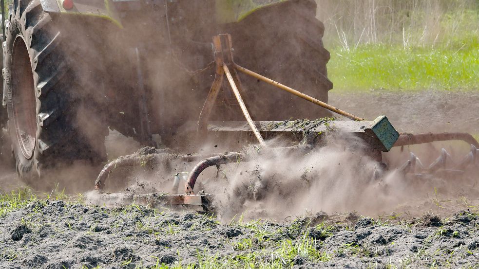 Staubtrockener Boden: Viele Äcker in Ostfriesland lechzen nach Regen. Foto: Ortgies
