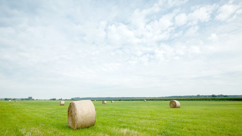 Landwirtschaft und Naturschutz sollen gemeinsam funktionieren. Foto: Nabu/Karkow