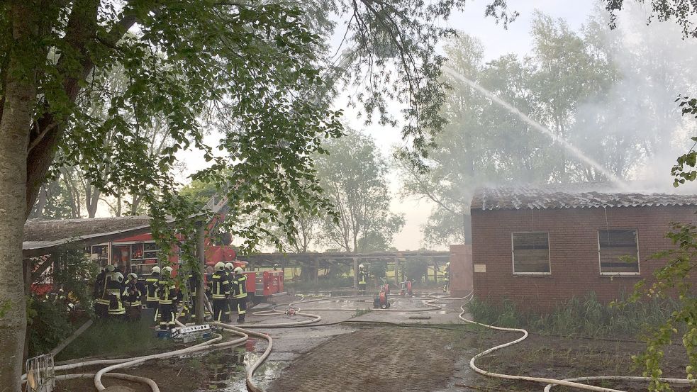 Die Feuerwehr löscht die Flammen. Foto: Schönig