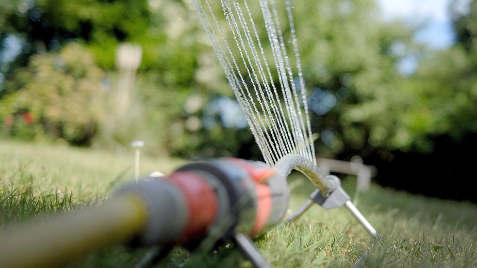 In der ersten Maihälfte fiel in Ostfriesland so wenig Niederschlag, dass der Oldenburgisch-Ostfriesische Wasserverband (OOWV) zu einem sparsamen Umgang mit Wasser aufrief. Symbolfoto: Dpa