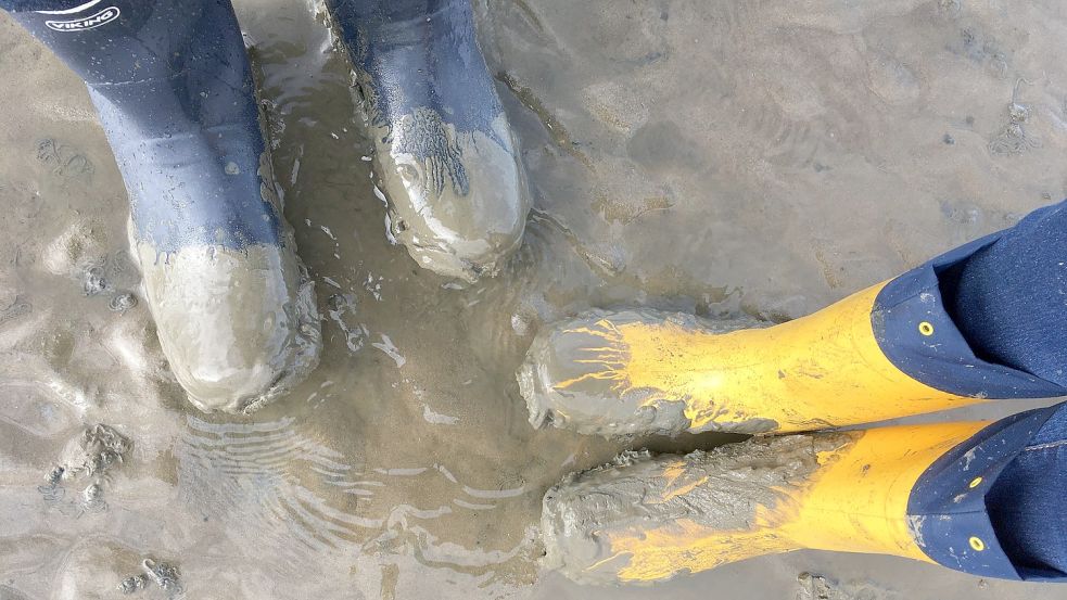Barfuß im Watt zu stehen fühlt sich interessant an. Sicherheitshalber wird bei den Touren aber Schuhwerk getragen. Symbolfoto: DPA
