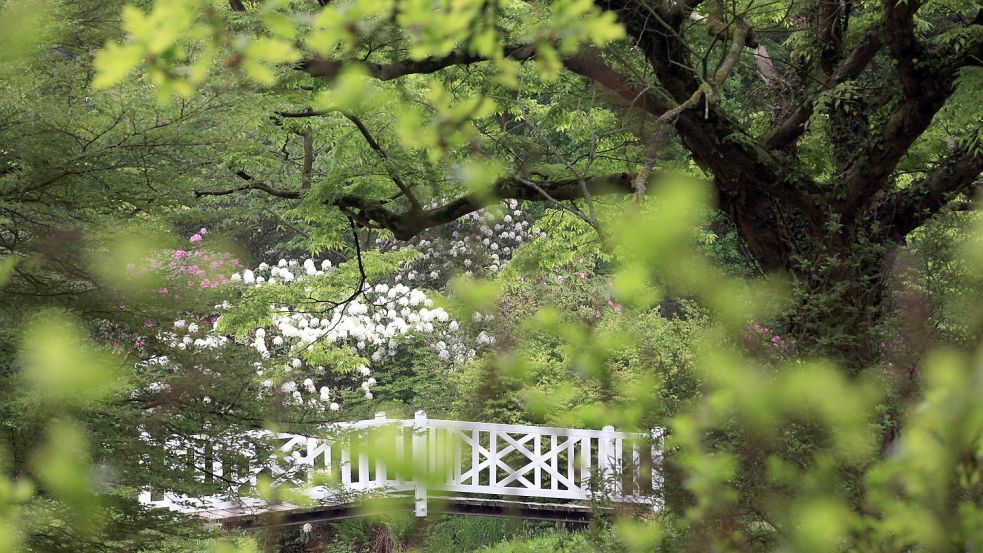 Im Lütetsburger Schlosspark kann man an vielen Blumen riechen. Foto: Archiv
