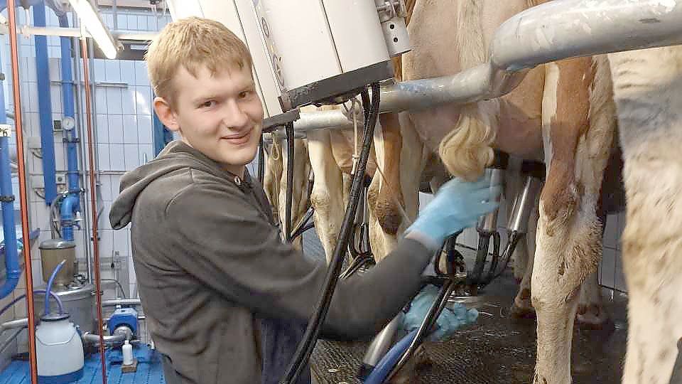 Henning Dänekas steht hier im Melkstand. Foto: Ina Dänekas
