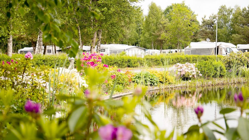 Die Außenanlagen des Camping- und Bungalowparks Ottermeer können sich wieder sehen lassen. Foto: Reiners