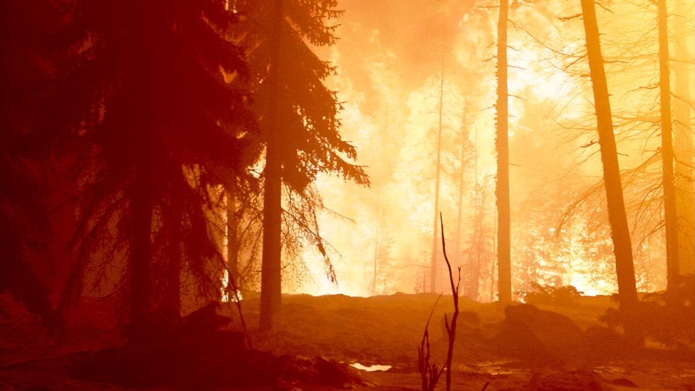 Auch Bilder, die Naturkatastrophen dokumentieren, werden gezeigt. Foto: Privat
