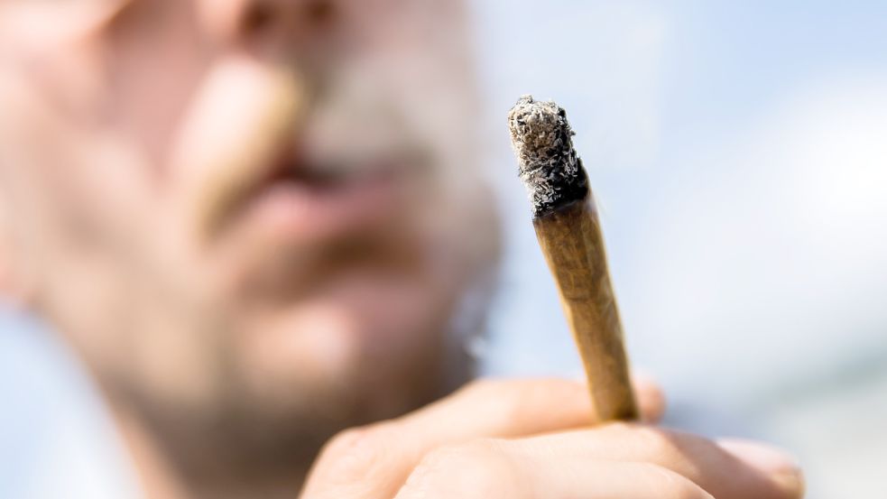 Cannabis soll auch in Deutschland bald legal und zu Genusszwecken verfügbar sein. Foto: dpa