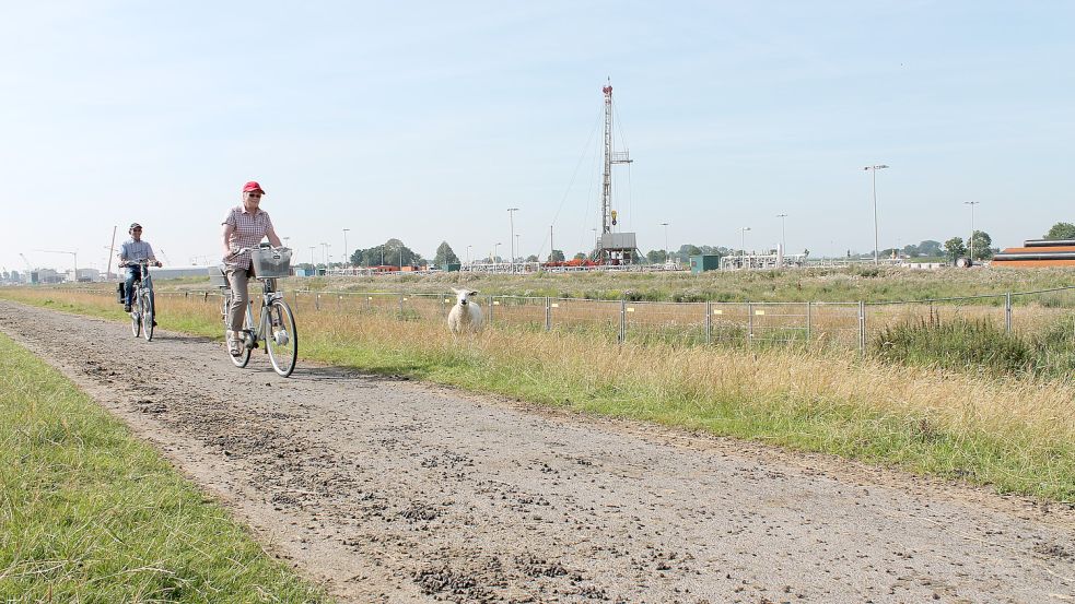 Es ist schon lange ein Thema: Einige Fahrradfahrer ärgern sich über Schafsköttel auf dem Radweg. Foto: Archiv