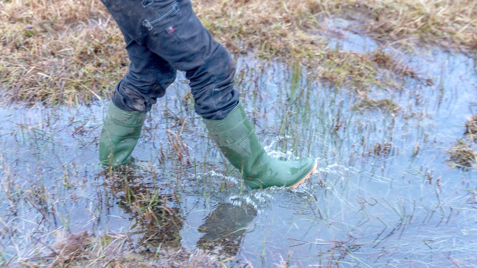 Was tun gegen den Klimawandel? Trockengelegte Moorböden wieder unter Wasser setzen, fordern manche. Das birgt Konfliktpotenzial. Denn auf diesen Böden leben auch Menschen. Foto: Jens Büttner/dpa