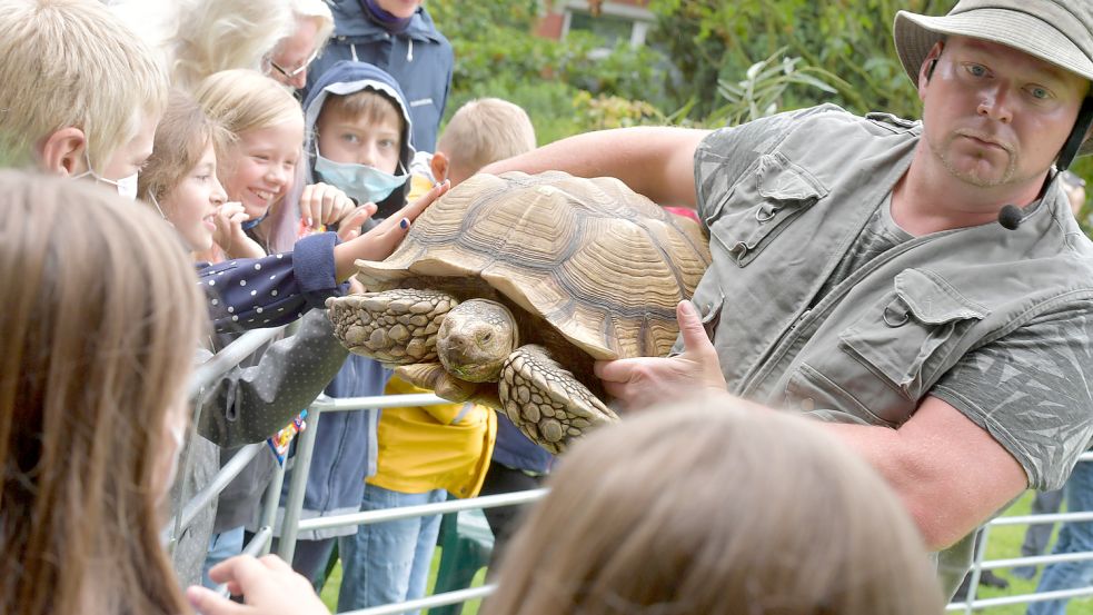 Die Grundschüler waren begeistert von der Spornschildkröte Karl-Heinz. Foto: Ortgies
