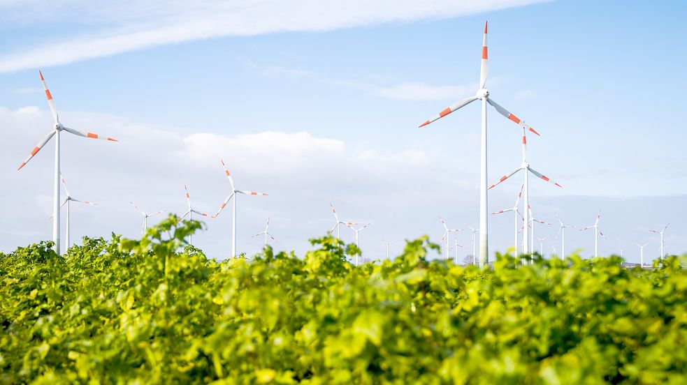 Enercon-Windräder stehen auf einem Feld in Niedersachsen. In den vergangenen Jahren kam der Ausbau der Windenergie an Land nicht in Schwung. Foto: Stratenschulte/DPA