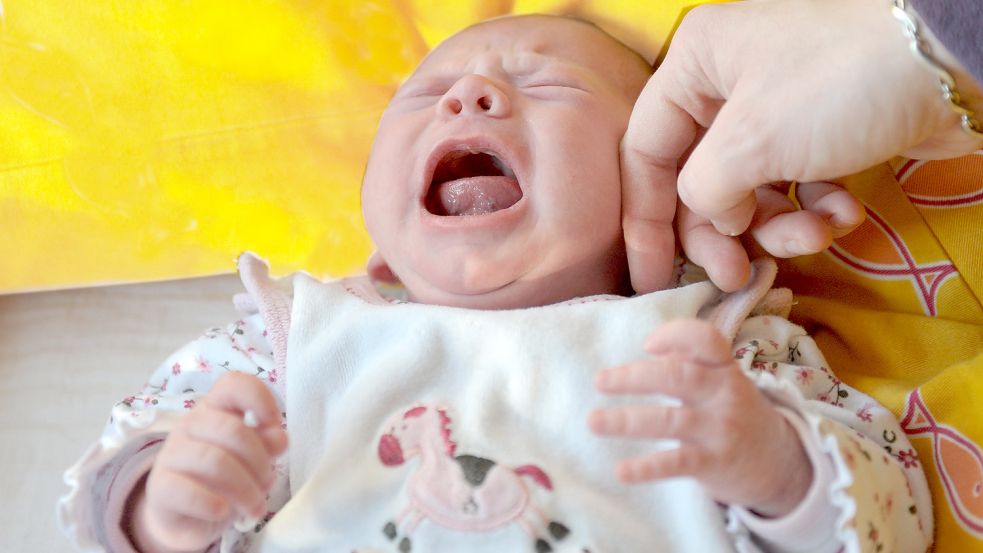 Werden auch nach Eröffnung der Zentralklinik in Aurich noch Kinder zur Welt kommen? Darum geht es in einer Podiumsdiskussion am 6. Juli. Foto: Jaspersen/dpa