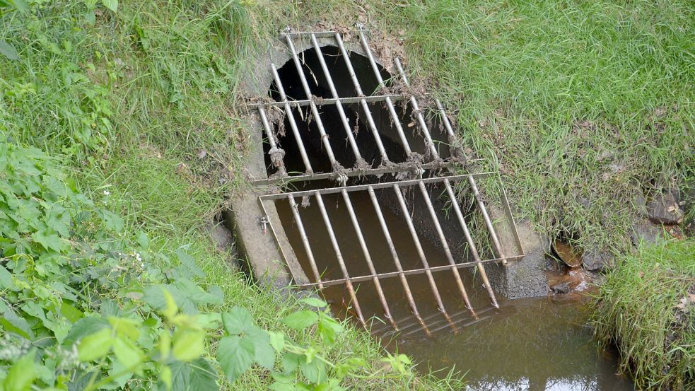 Mit solchen Gittern werden die meisten Rohre gesichert. Dieses befindet sich am Ende der Heidestraße in Leer. Foto: Hoppe