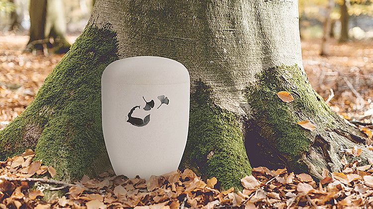 An den Wurzeln von Bäumen bestattet werden: Das ist offenbar der Wunsch vieler. Nach dem Vorbild des Logabirumer Gedächtniswaldes sollen Baumbestattungen auch in Emden möglich werden. Foto: Gedächtniswald Logabirum