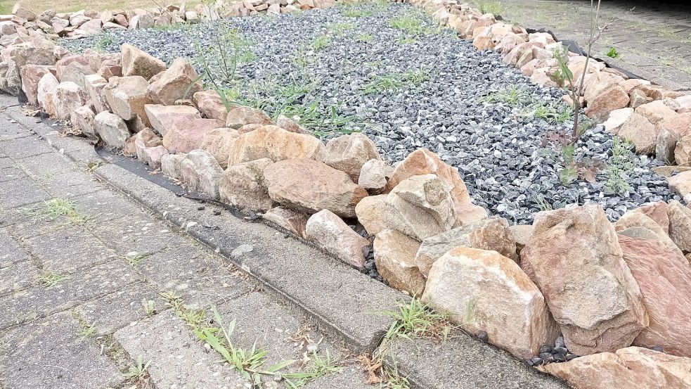 Schotter ist kein Garant gegen Unkraut. Foto: Vogt