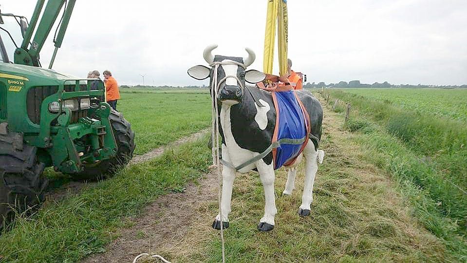 Das Anlegen des Tierhebegeschirrs wird regelmäßig an einem Kuhmodell geübt. Foto: Feuerwehr