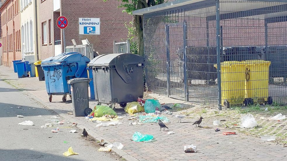 Müll ist ein sichtbares Problem im Stadtteil. Foto: Hanssen