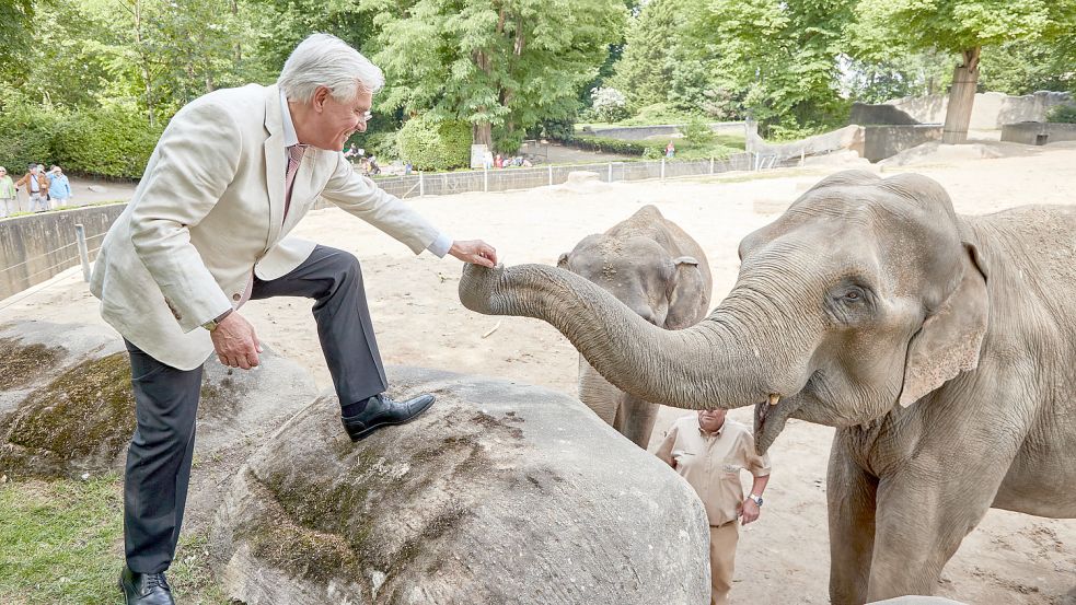 Elefanten-Orakel «Yashoda» Foto: dpa