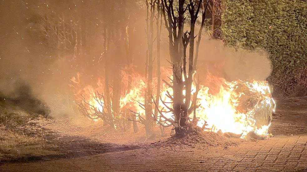 In der Nacht zu Montag fing eine Hecke in Moordorf Feuer. Foto: Kreisfeuerwehrverband Aurich