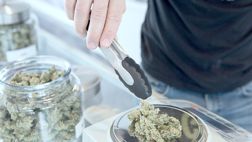 Wann werden wir auch in Deutschland Cannabis legal zu Genusszwecken kaufen dürfen? Foto: Unsplash/Add Weed (Symbolbild)