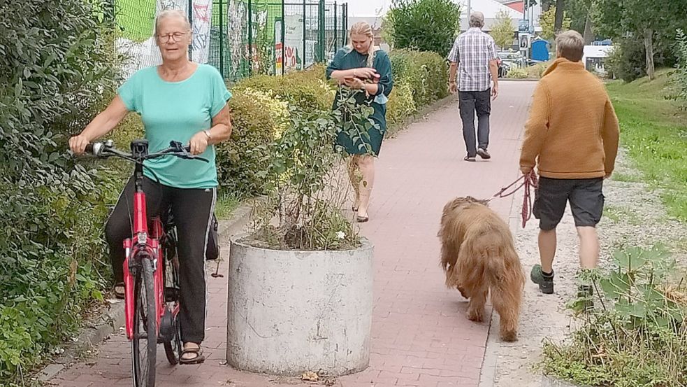 Ein Blumenkübel machte den Fuß- und Radweg zum Hindernisparcours. Foto: ADFC