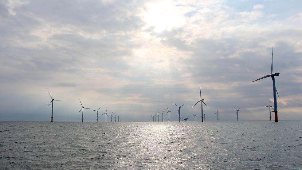 Der im Offshore-Windparkt Riffgat erzeugte Strom wird in das deutsche Stromnetz eingespeist und kann laut EWE rechnerisch rund 120.000 Haushalte ein Jahr lang mit Strom versorgen. Foto: Archiv