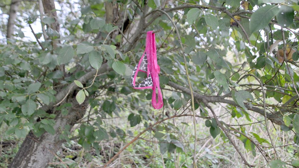 Mitunter finden die Müllsammler auch Verpackungen ganz anderer Art. Foto: Schönig