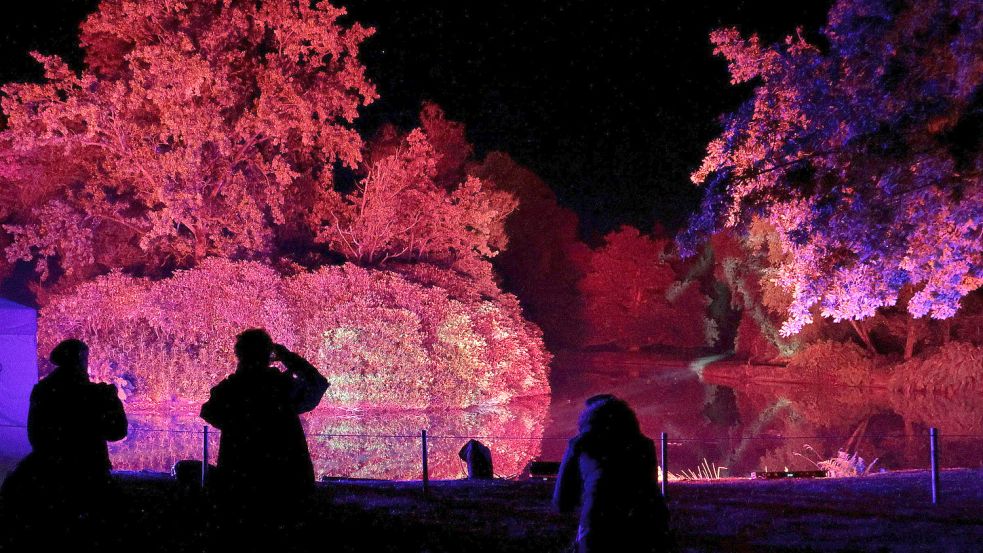 Die „Illumina“ setzt die alten Bäume im Schlosspark Lütetsburg ins richtige Licht. Foto: Kiefer