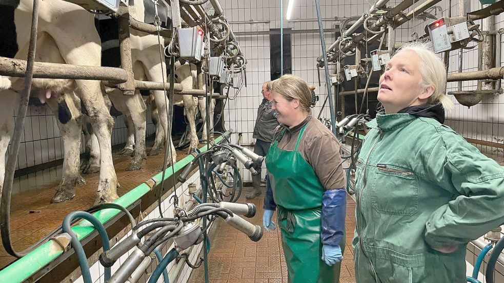 Auf dem Schüür-Hof in Ferstenborgum schaut sich Silke Kuhlemann am frühen Morgen das Melken an. Foto: Nording