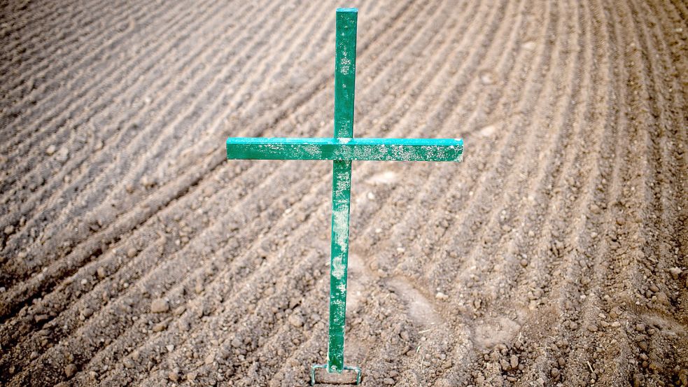 Kirche und Landwirtschaft prallen immer wieder aufeinander beim Thema Umwelt- oder Tierschutz. Aktuell sorgt ein Pastor aus Hamburg für Empörung. Foto: dpa