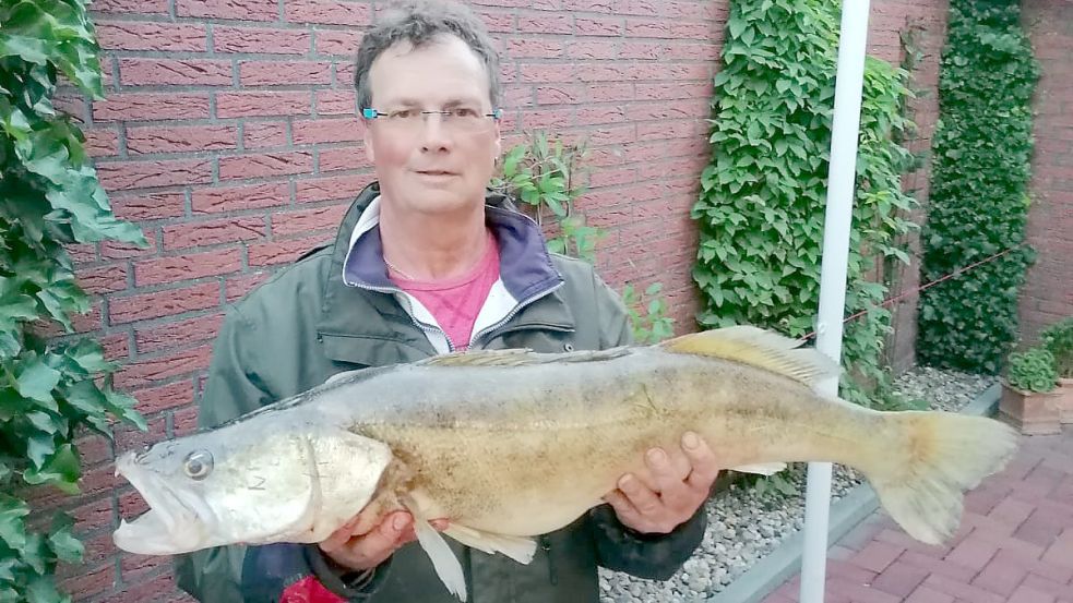 Gerrit Jürgens aus Larrelt hat einen beachtlichen Zander gefangen: 91 Zentimeter lang, 6,9 Kilogramm schwer. Foto: Privat