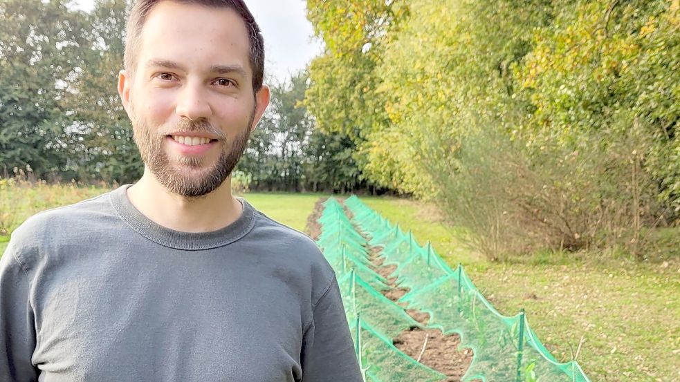 Marten Verch hat vor rund zwei Wochen die ersten 200 Tee-Jungpflanzen auf einer Fläche im Kreis Segeberg eingegraben. Foto: Privat