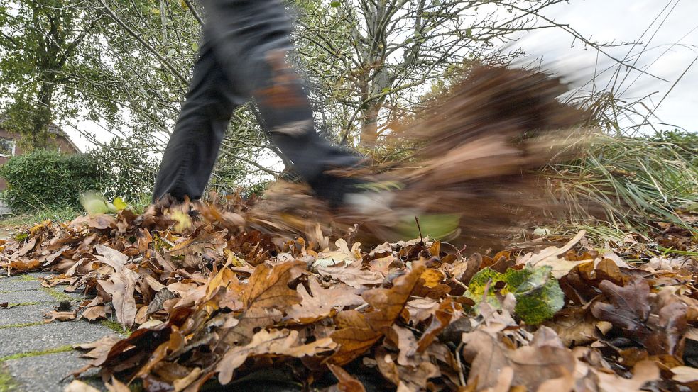 Wenn es so auf dem Gehweg aussieht, sollte man aktiv werden. Symbolfoto: Ortgies