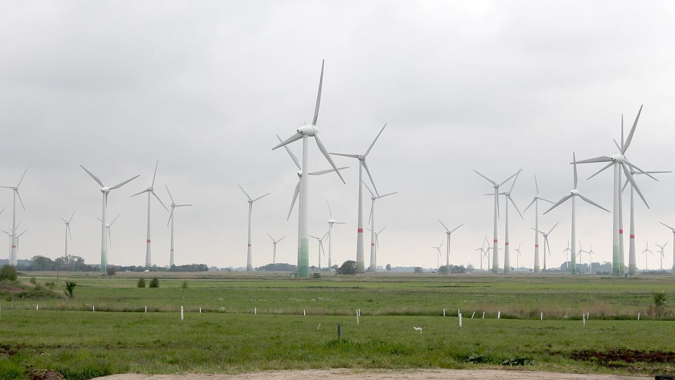 Ein Windpark in Ostfriesland. Foto: Oltmanns