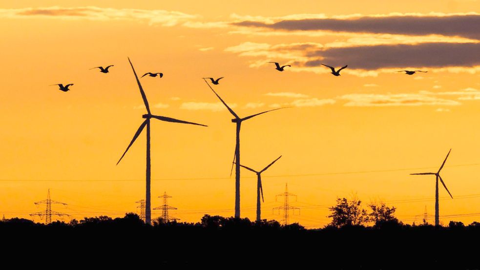 Ob in Kleinoldendorf Windräder gebaut werden, wird derzeit diskutiert. Foto: Stratenschulte/dpa
