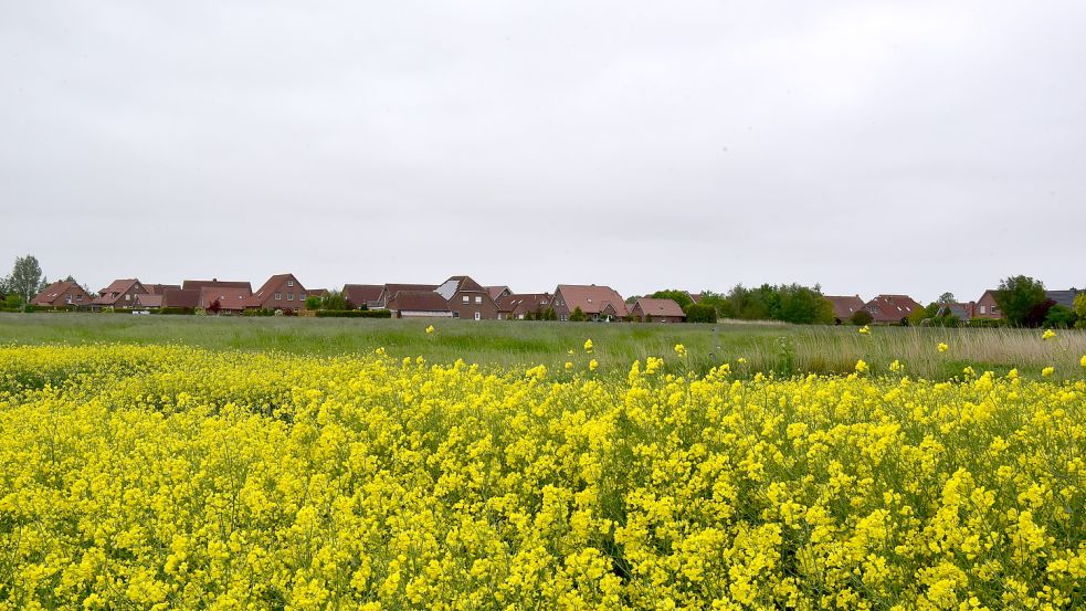 Hier soll das Neubaugebiet entstehen- 27 Bauplätze sollen das bisherige Baugebiet „Neu-Etum“ erweitern. Foto: Wagenaar/Archiv