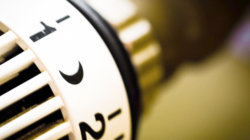 Wer die Heizung etwas runterreguliert, kann schon viel Gas sparen. Foto: Pixabay