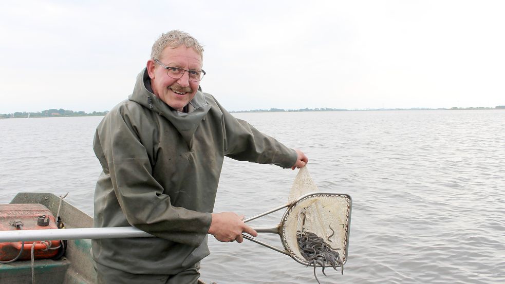 Rudolf Endjer bei einer Aussetz-Aktion von Jung-Aalen am Großen Meer. Foto: Archiv