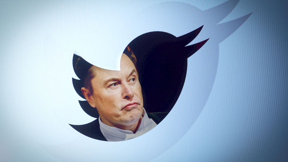 Zwischen Genie und Wahnsinn sehen viele Unternehmer Elon Musk schwanken. In welche Kategorie das von ihm angestoßene Votum zu seiner Zukunft bei Twitter fällt, ist noch offen. Foto: Imago Images