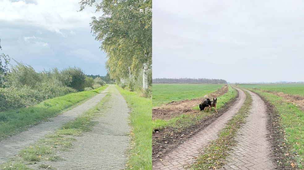 Die beiden Bilder zeigen, wie sehr sich die Landschaft durch die Baumfällaktion (nachher: rechts) verändert hat. Foto: Krüsmann