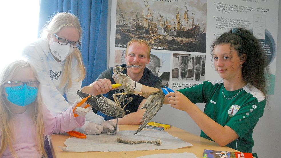 Zeigen die Überreste eines Großen Brachvogels: die Junior-Rangerinnen Pauline (von links), Josephine, Nationalpark-Ranger Simon Potthast und Mara. Foto: Ferber
