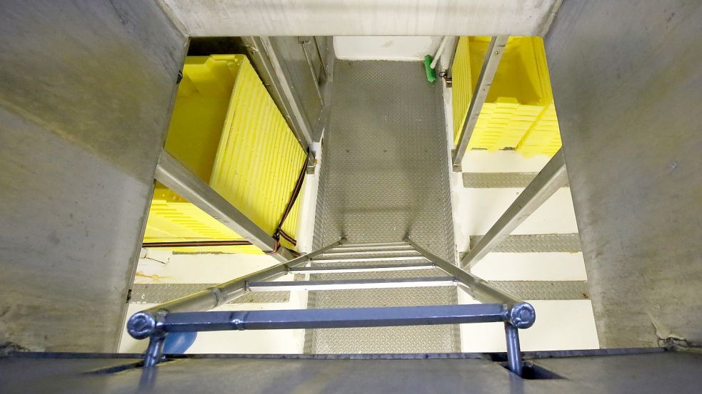 Hier geht es zum Kühlraum für die gefangenen Krabben. Foto: Böning