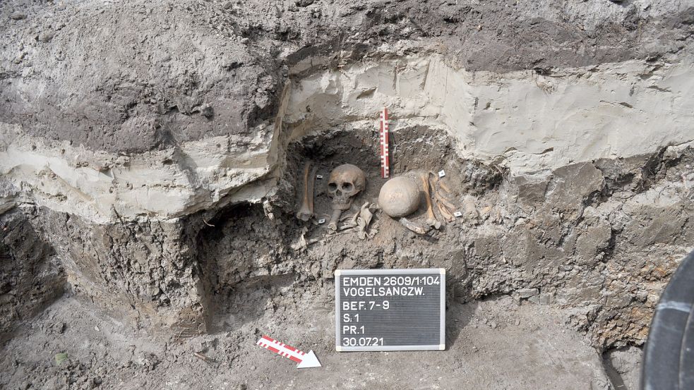 Bei Erdarbeiten wurden im Sommer 2021 menschliche Schädel und Gebeine freigelegt. Foto: Ostfriesische Landschaft/Archiv