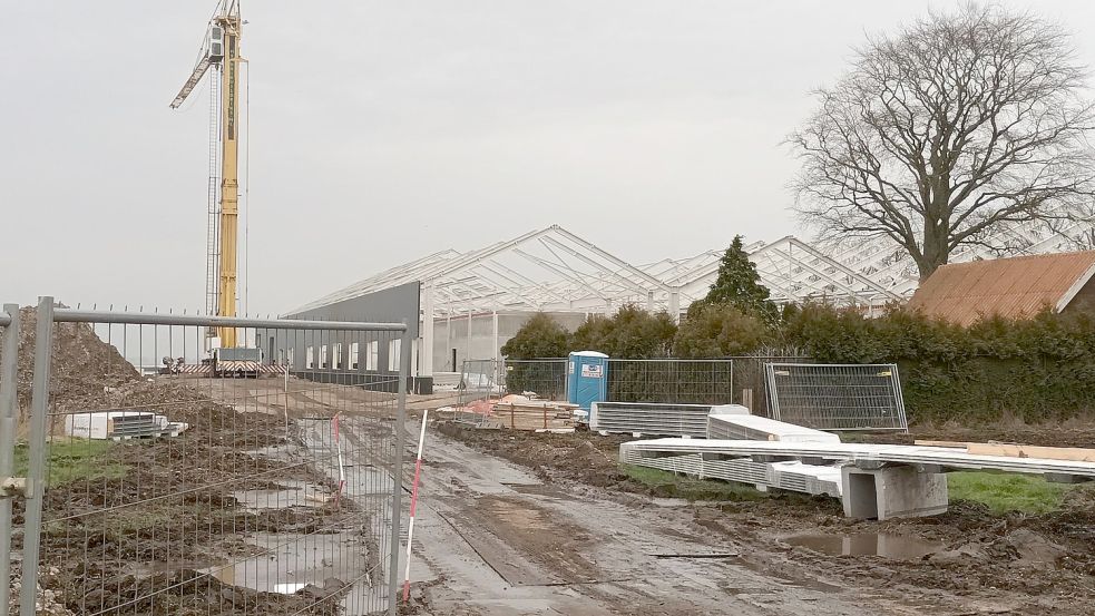 Die Arbeiten nah der Grenze laufen. Foto: Vogt