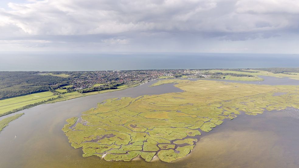 Die Insel Großer Kirr liegt im Barther Bodden. Foto: Imago Hans Blossey