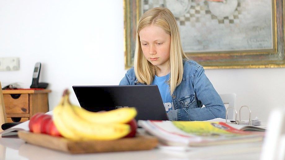 Für die Schülerinnen und Schüler der Schule Altes Amt in Friedeburg fällt der Präsenzunterricht am Montag aus. Stattdessen heißt es Homeschooling. Symbolfoto: Pixabay