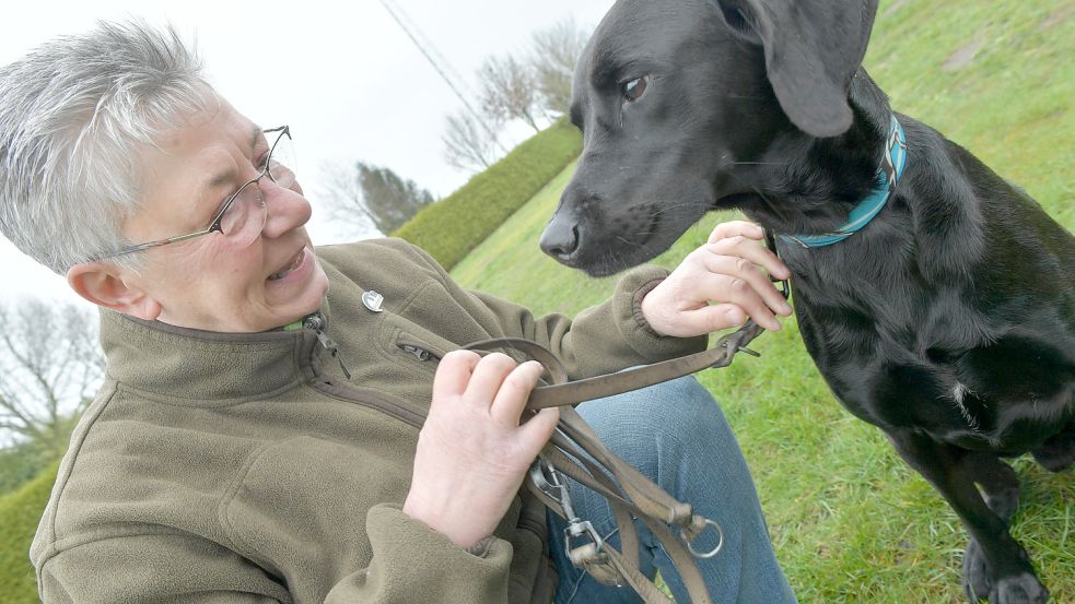 Wichtig ist ein gutes Gespür für den eigenen Hund. Foto: Ortgies