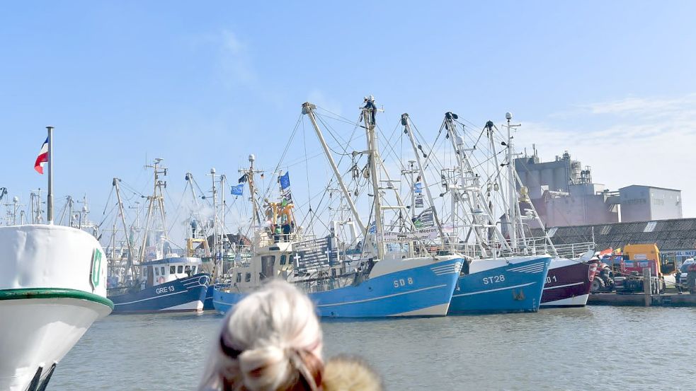 Zahlreiche Kutter liegen im Hafen von Büsum. Foto: Wagenaar