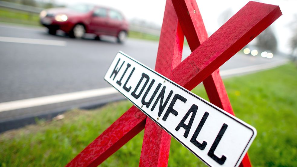 Dreibeine mit dem Hinweis „Wildunfall“ markieren Bereiche, in denen es zu Wildunfällen gekommen ist. Foto: Dittrich/DPA
