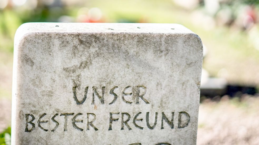 Wie es aussieht, findet sich auf Borkum keine geeignete Fläche für einen Tierfriedhof. Foto: Rumpenhorst/dpa