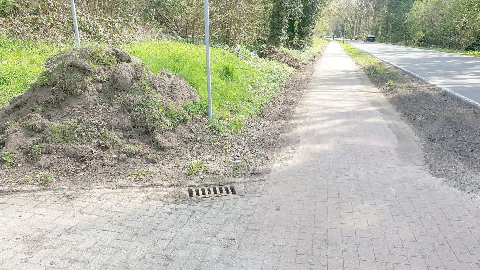 Am Hoheberger Weg hat der Betriebshof der Stadt den Radweg vom Bewuchs befreit. Die Reste sind links zu erkennen. Foto: ADFC